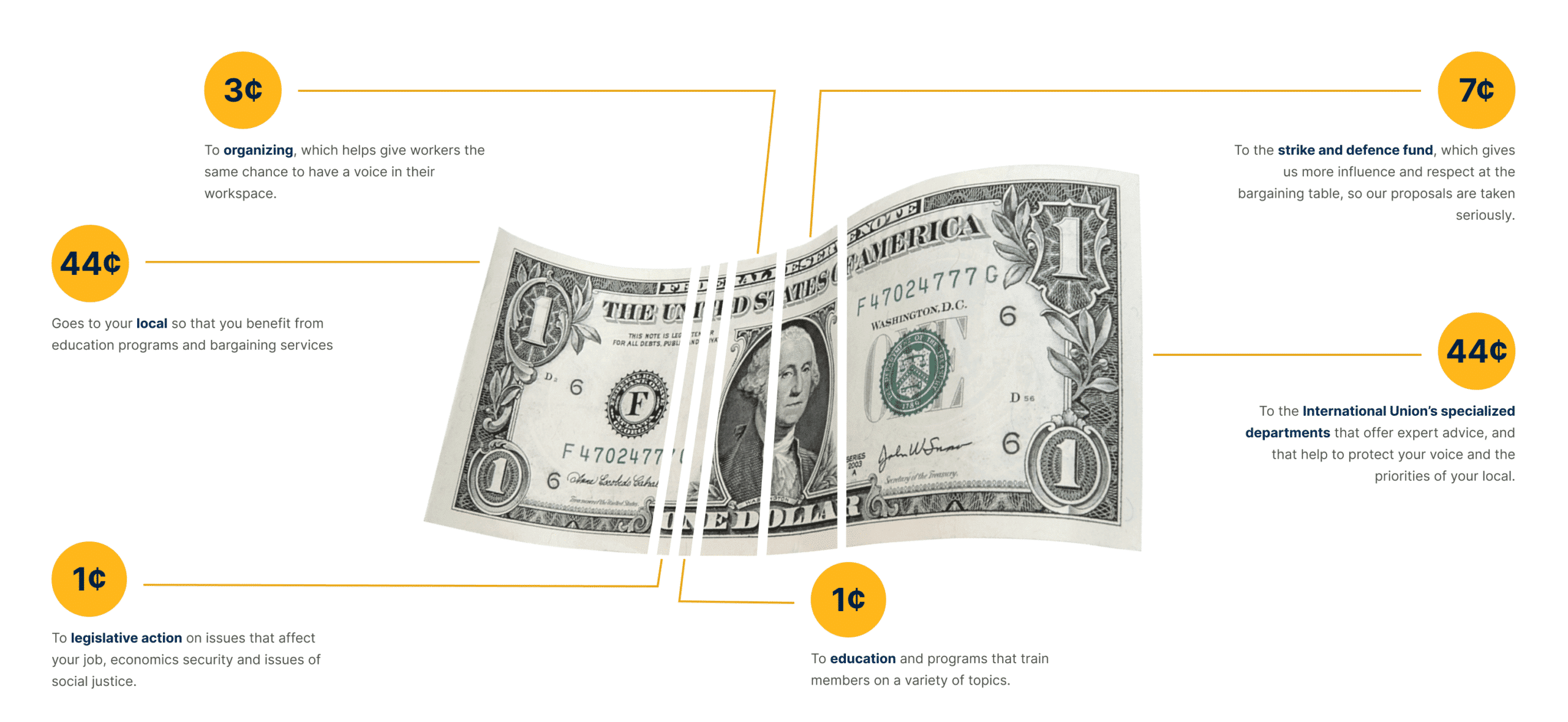 dollar-graphic_desktop_optim