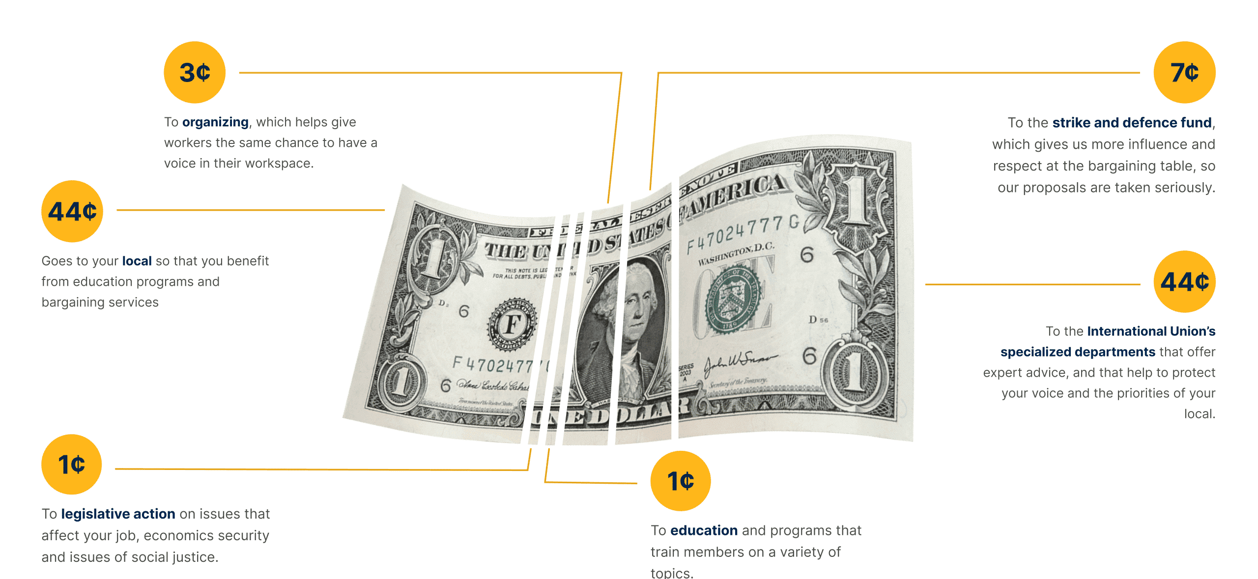 dollar-graphic_laptop_optim