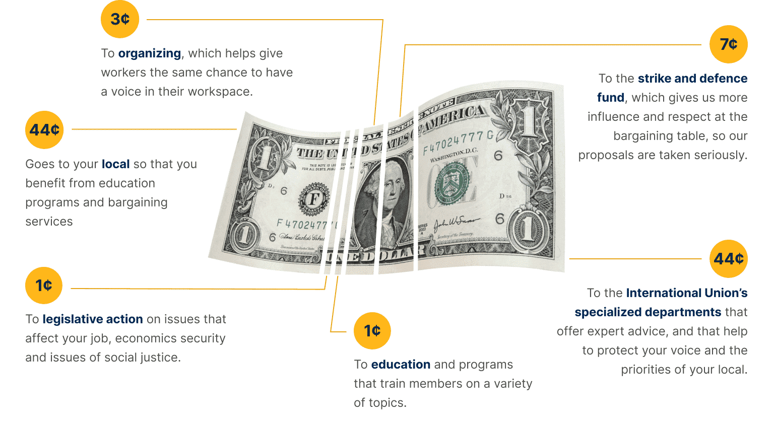 dollar-graphic_tablet_optim